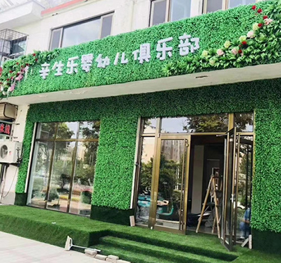 绿植
