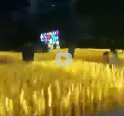 亮化工程（视频）